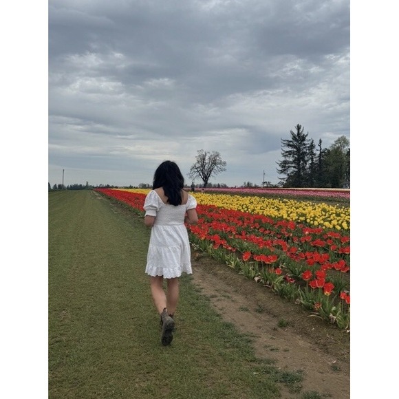 American Eagle Baby Doll Cream Smocked Eyelet Puff Sleeve Tiered‎ Mini Dress M - Picture 3 of 16